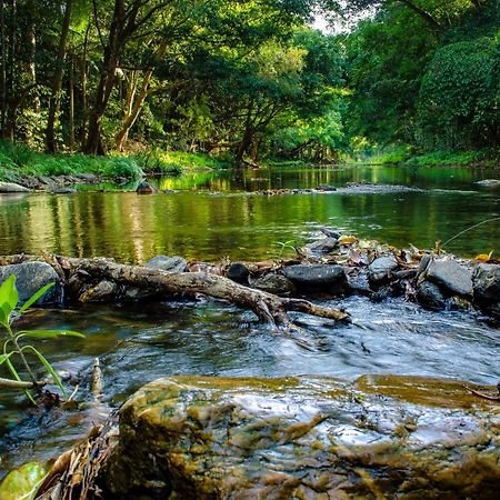 Cairns Homestead Redlynch Pet And Family Friendly Dış mekan fotoğraf