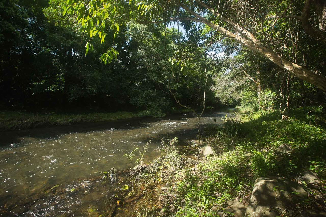 Cairns Homestead Redlynch Pet And Family Friendly Dış mekan fotoğraf