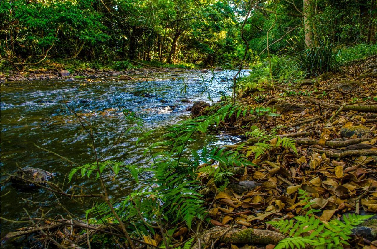 Cairns Homestead Redlynch Pet And Family Friendly Dış mekan fotoğraf