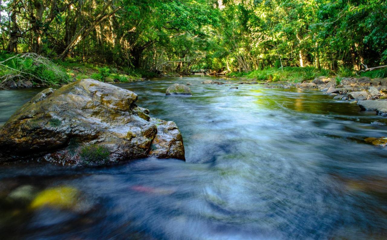 Cairns Homestead Redlynch Pet And Family Friendly Dış mekan fotoğraf