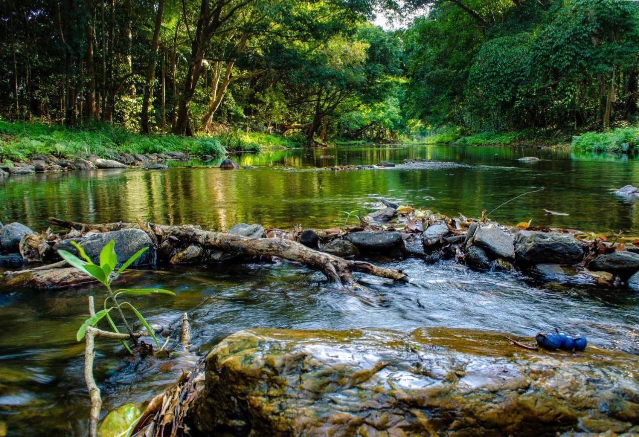 Cairns Homestead Redlynch Pet And Family Friendly Dış mekan fotoğraf